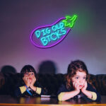 Dig Old Bicks LED Neon